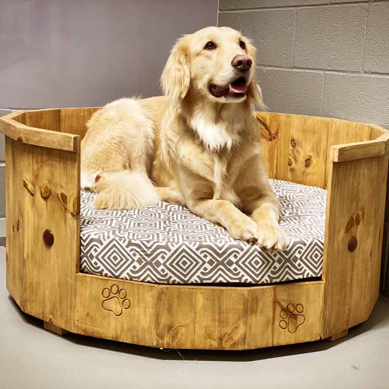 Dog Bed-Northside Animal Hospital |Lawrenceburg, TN